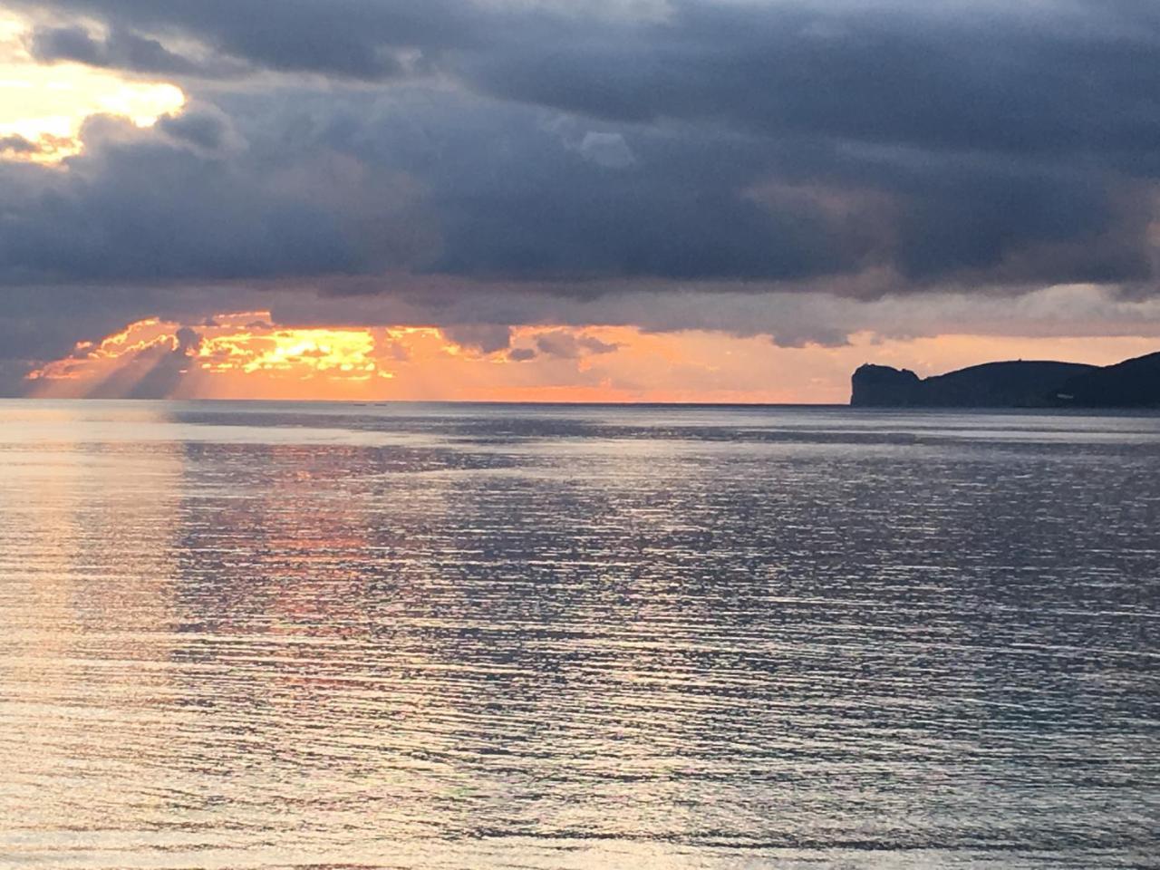 شقة Il Mare Di Alida ألغيرو المظهر الخارجي الصورة