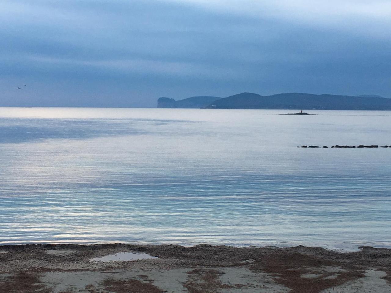 شقة Il Mare Di Alida ألغيرو المظهر الخارجي الصورة