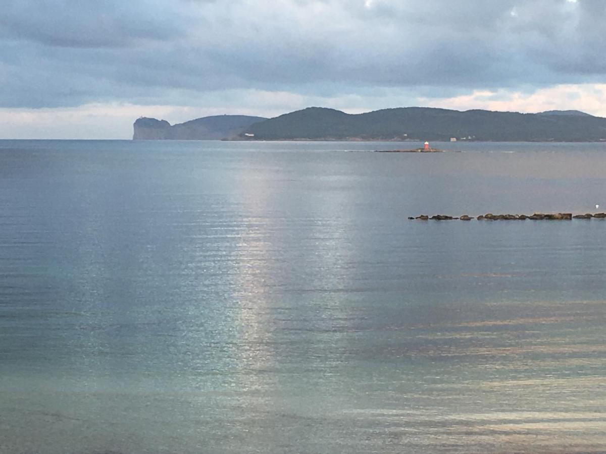 شقة Il Mare Di Alida ألغيرو المظهر الخارجي الصورة